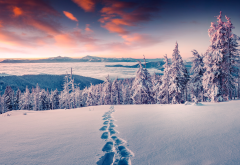 sunset, winter, mountains, tree, snow, footprints, nature, forest wallpaper