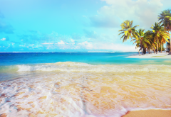 sea, nature, beach, summer, palm, tropical wallpaper