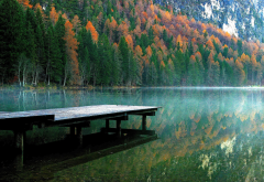 photography, nature, tree, autumn, leaf, lake, pier wallpaper