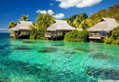 water bungalows, hotel, villa, nature, water, sea, tropical, palm wallpaper