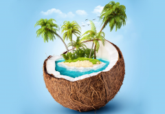 coconut, island, cg render, blue background, palm tree, tropical wallpaper