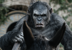 dawn of the planet of the apes, caesar, monkey, animals, movies wallpaper