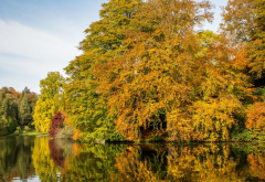 stourhead garden, wiltshire, england, autumn, reflection, tree wallpaper