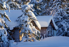 winter, snow, seasons, hut, tree, alaska, usa, nature, pile of snow in alaska wallpaper