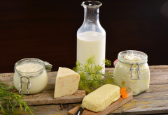 food, cheese, milk, cottage cheese, dill wallpaper