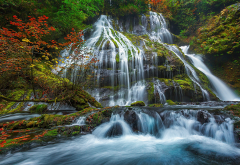 panther creek falls, gifford pinchot national forest, forest, tree, waterfall, nature wallpaper