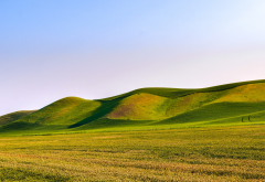 rolling hills, california, usa, nature, hill, grass wallpaper