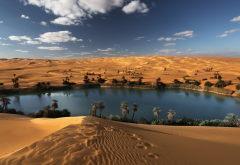 libya, oasis, desert, palm tree, sand, nature wallpaper