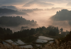 nature, landscape, mist, sunrise, valley, forest, mountain, terraces, water, trees, Japan wallpaper