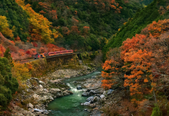 train, nature, landscape, trees, forest, branch, leaves, colorful, fall, rock, stones, river, stream wallpaper
