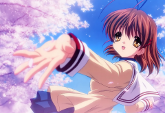 clannad, furukawa nagisa, cherry blossom, anime, anime girls wallpaper