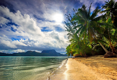 bora bora, french polinesia, beach, sea, palm trees, clouds, island, tropical, nature wallpaper