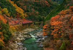 sagano scenic railway, arashiyama, kyoto, japan, nature, train, river, mountains, forest, fall, canyon, autumn wallpaper