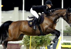 equitation, jumping, horse, horse riding, sport wallpaper