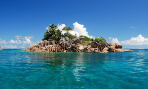 st. pierre, praslin, seychelles, tropical, island, nature, palm, rocks, ocean, indian ocean, cote dor wallpaper