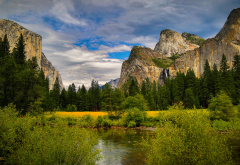 yosemite national park, usa, forest, river, mountains, nature wallpaper