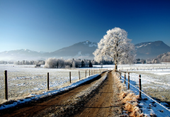 road, fence, field, tree, snow, winter, nature, mountains wallpaper