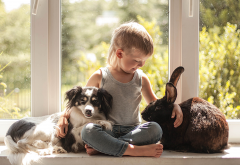 boy, rabbit, dog, friends, friendship, window, kid, animals wallpaper