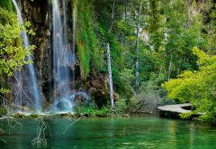croatia, plitvice lakes national park, forest, lake, rocks wallpaper