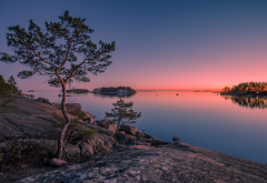 gulf of finland, finland, island, sunset, tree, rocks wallpaper