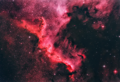 north america nebula, space, stars, nebula wallpaper