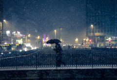 bridge, people, umbrella, bus, lights, snow, dark, city wallpaper