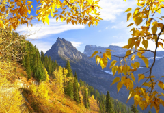 nature, mountains, autumn, beautiful, leaf, forest wallpaper