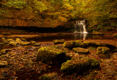 west burton, cauldron, falls, autumn, yorkshire dales, forest, rocks, stream, brook, waterfall, tree, stones, nature wallpaper