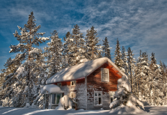winter, forest, house, snow, tree, nature wallpaper