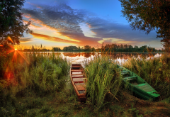 lake, sky, reed, boat, sun, end of summer, nature wallpaper