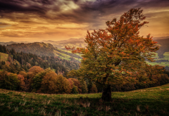 switzerland, landscape, mountains, sky, autumn, tree, nature wallpaper