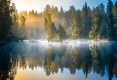 nature, fall, finland, forest, pond, lake, morning, sunrise, fog wallpaper
