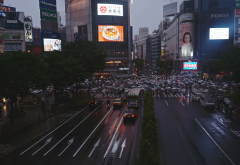 rainy, tokyo, japan. city, car, rain wallpaper