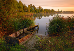 lake, reeds, wood, autumn, old boat, nature wallpaper