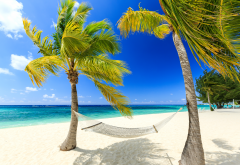 resort, palm trees, vacation, hammock, beach, ocean, caribbean beach wallpaper
