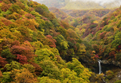 autumn, forest, nature, waterfall, irohazaka, japan wallpaper