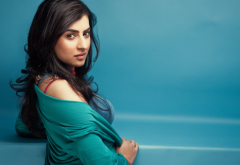 archana veda, actress, women, brunette, indian actress wallpaper