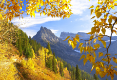 mountains, yellow foliage, autumn, forest, nature wallpaper
