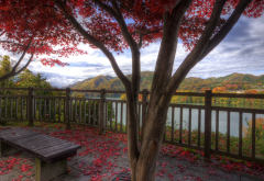 red leaves, bench, mountains, nature wallpaper