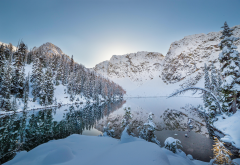 tree, winter, mountains, snow, reflection, lake, nature wallpaper