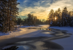 forest, snow, river, tree, nature wallpaper