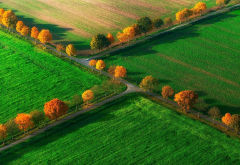 nottuln, germany, autumn, nature, road, grass, field, tree wallpaper