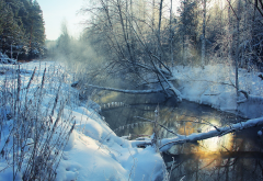 river, winter, forest, tree, snow, nature wallpaper