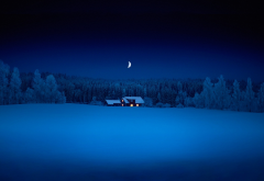 winter, evening, night, snow, forest, nature, cottage wallpaper
