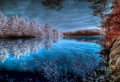 forest, lake, water, tree, reflection, nature, frost wallpaper