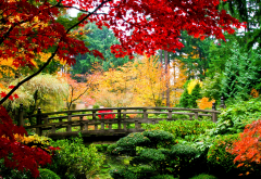 leaves, autumn, bridge, tree, japan, nature wallpaper