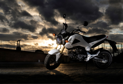 honda msx125, motorcycle, honda, bike, dark clouds wallpaper