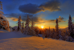 forest, sunset, winter, clouds, snow, beauty, sky, nature wallpaper