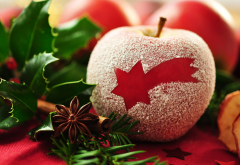 new year, holidays, apple, star anise, branch, christmas, decorations wallpaper