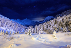 snow, mountains, winter, tree, sky, night, forest wallpaper